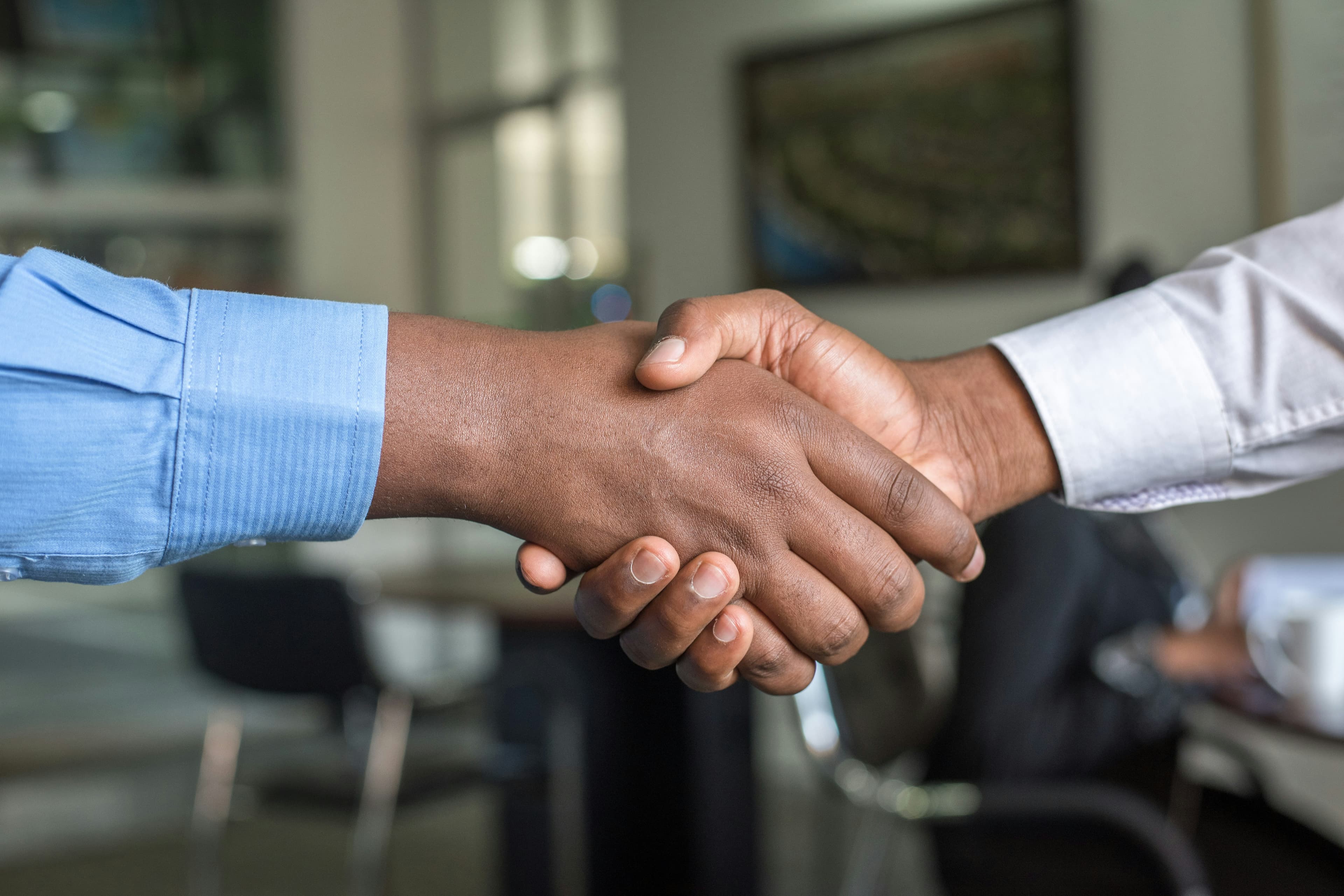 Professional handshake after consultation